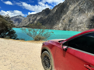 Imagen De La Galería