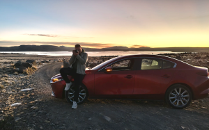 Imagen De La Galería